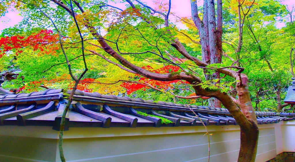 風景１７０　京都　１０月