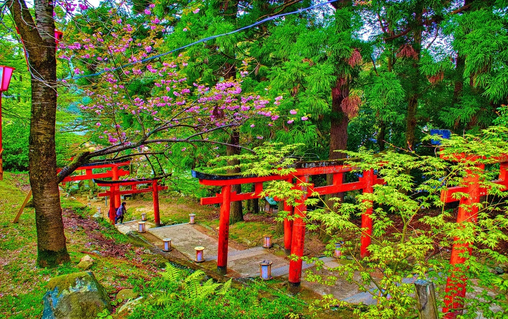 風景４３９　出石　春