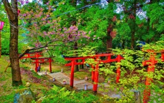 風景４３９　出石　春