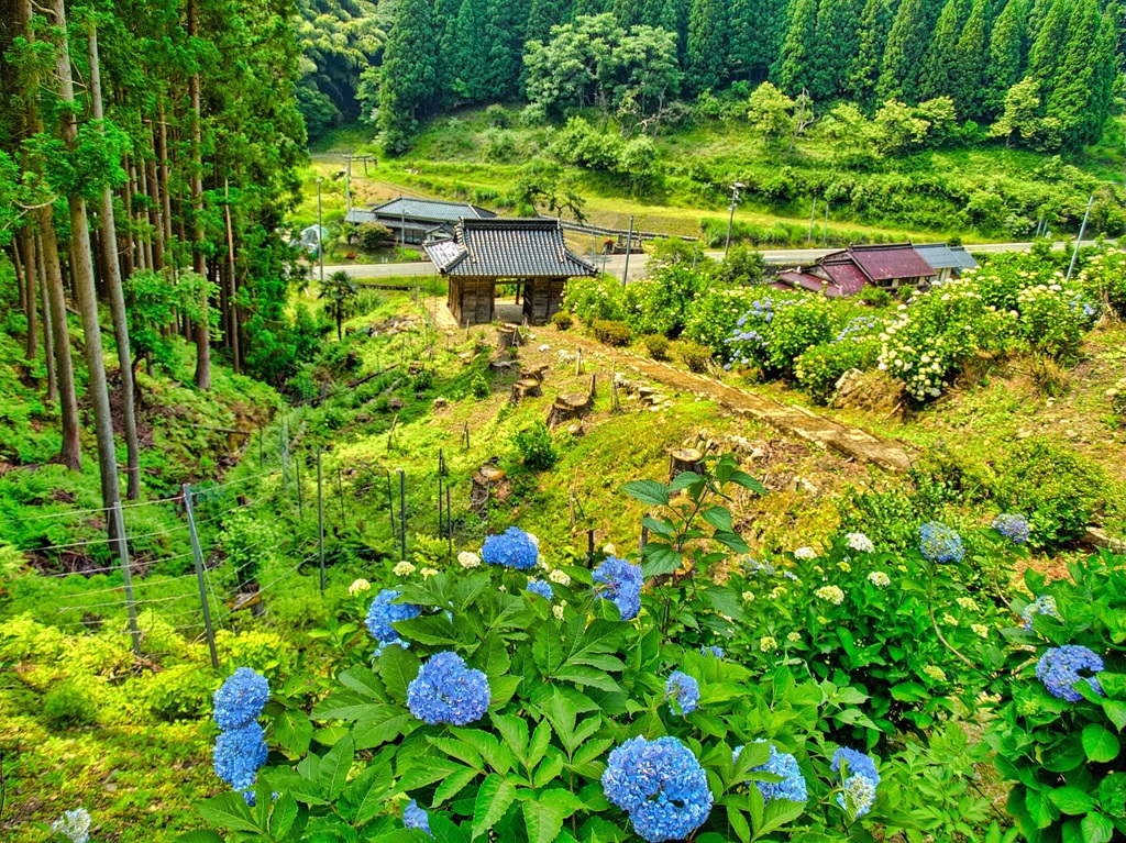 風景６９１　山寺　門