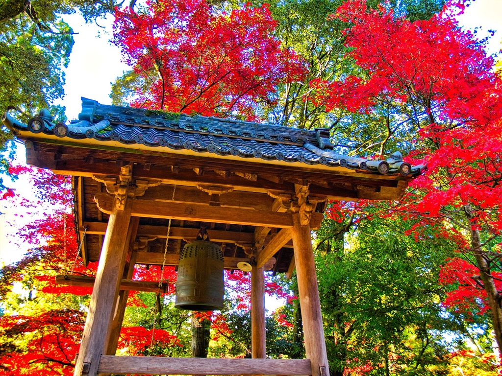 風景３１８ 寺　秋