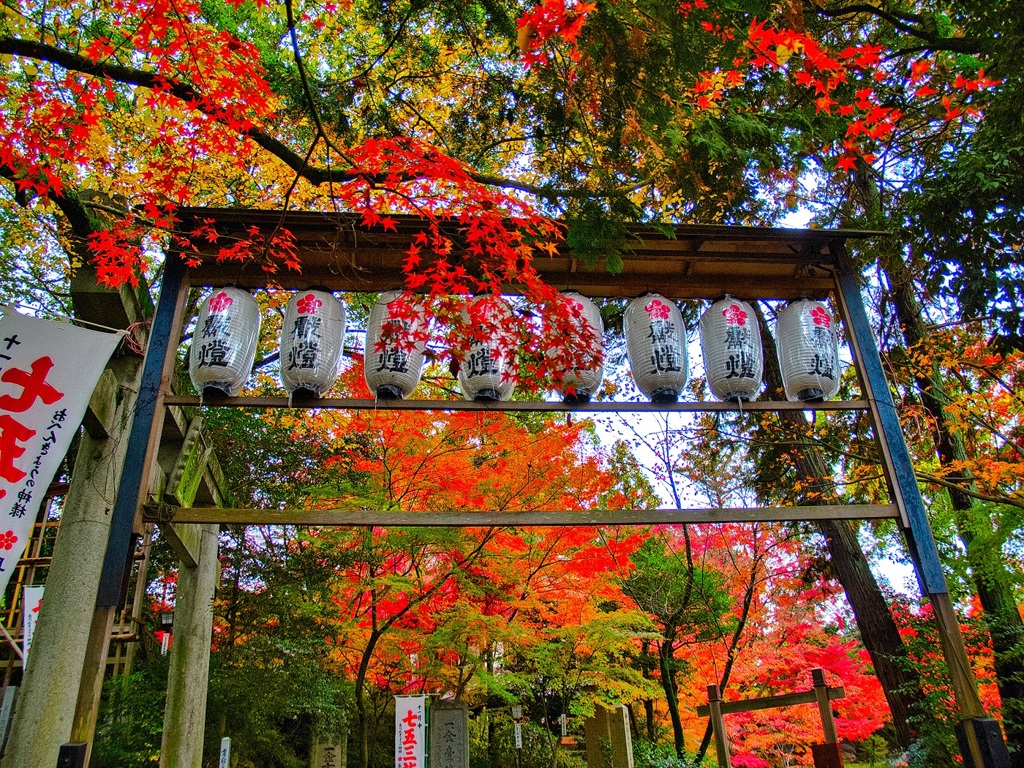 風景２９６ 寺　秋