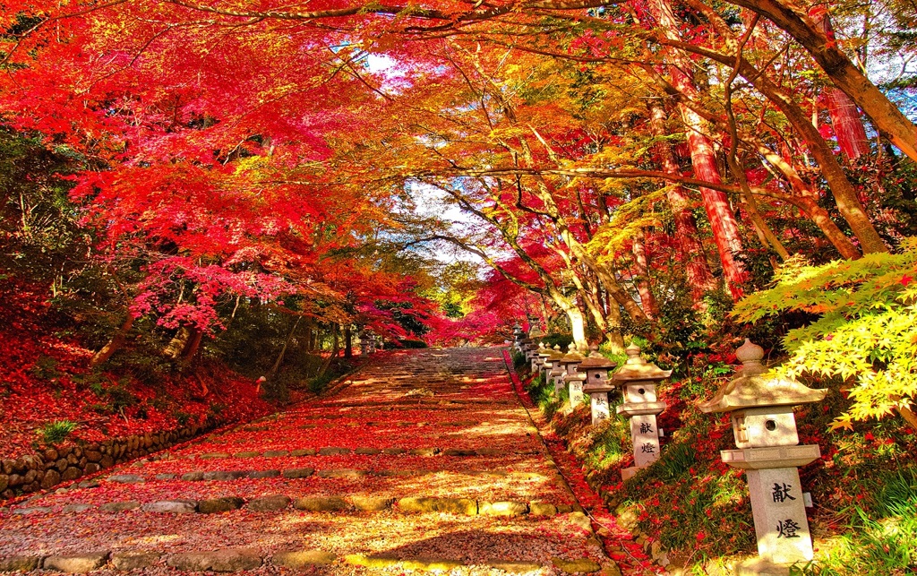 風景３１１ 寺　秋