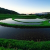 日本風景１４１５　棚田