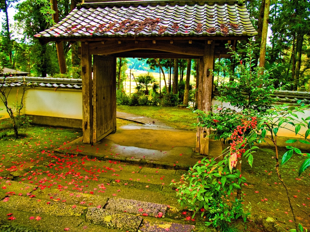 風景２３９　山寺　秋