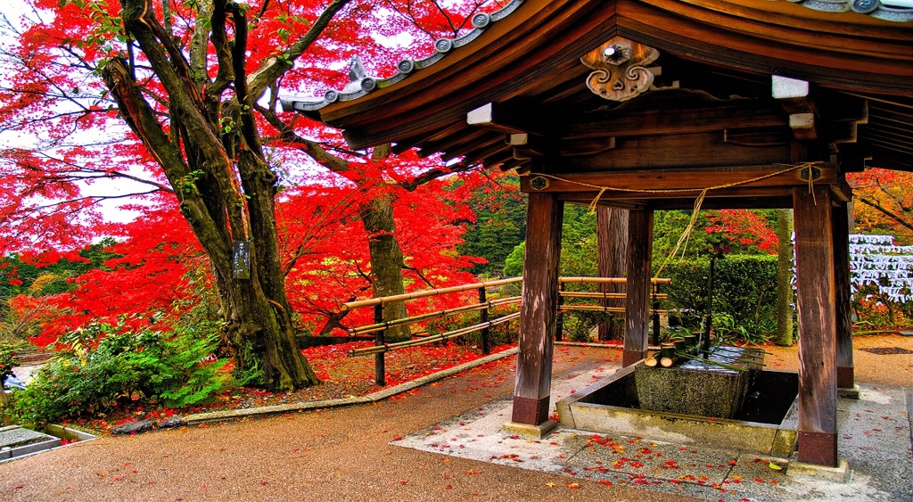 風景２４３ 寺　秋