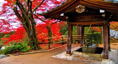 風景２４３ 寺　秋