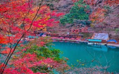 風景３４７　京都嵐山　晩秋