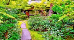 風景１７６　京都　寺　庭