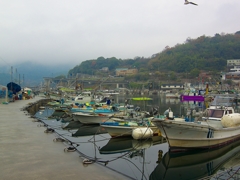 日本風景１２９６　漁港