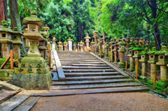 日本風景８２５　神社