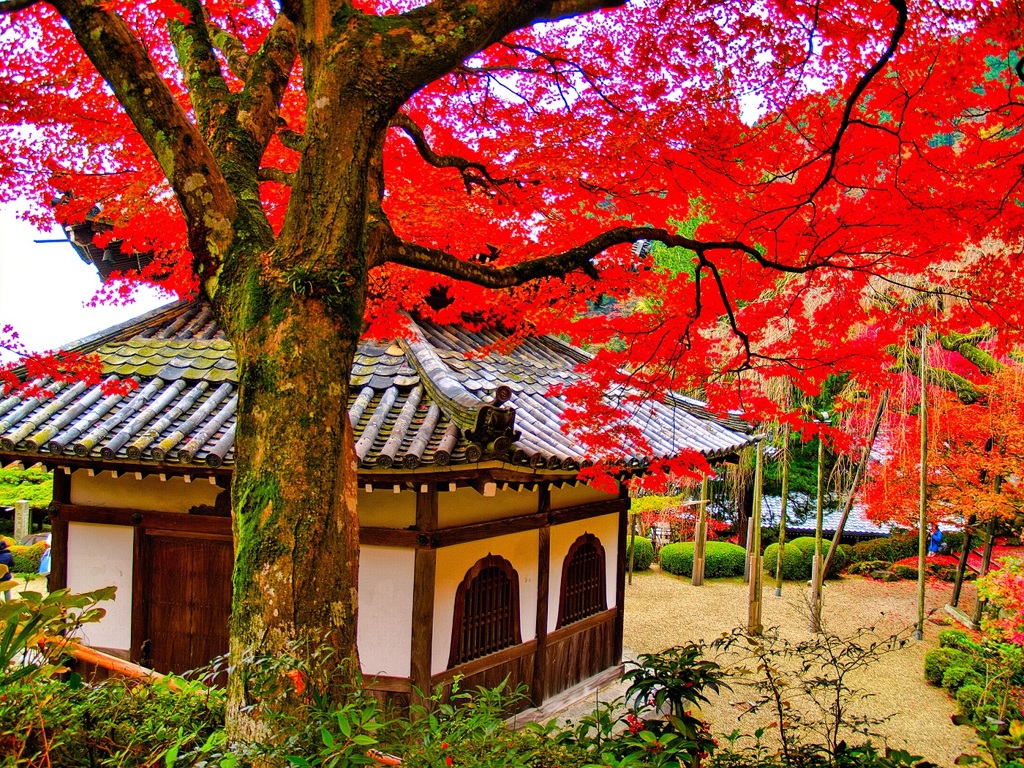 風景２４８ 寺　秋