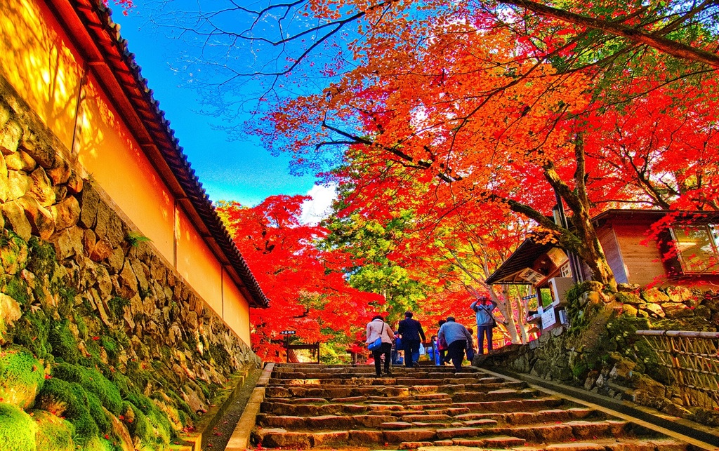 風景３２４ 寺　秋