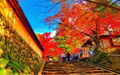 風景３２４ 寺　秋