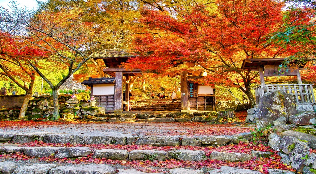風景２０２　山寺　 秋