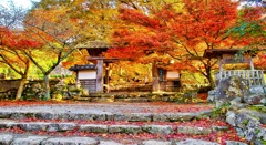 風景２０２　山寺　 秋