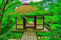 日本風景８１２　京都　寺