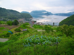 日本風景１４２０　風景