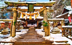 風景３６２　神社　冬