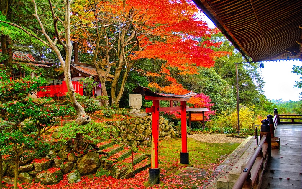 風景２８８ 寺　秋