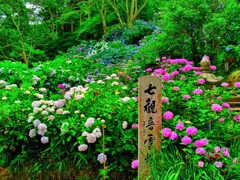 風景７００　寺　庭