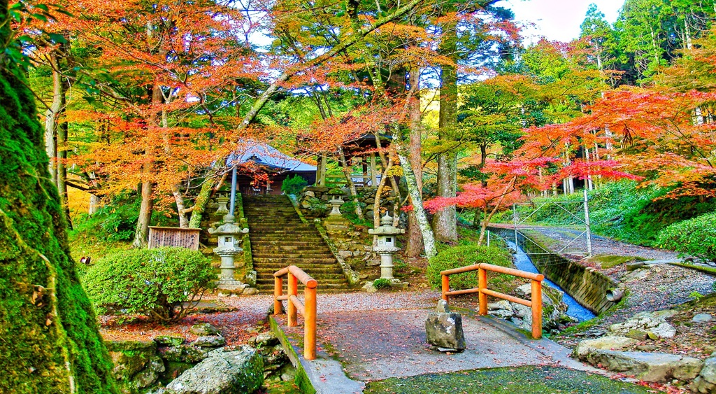 風景２１６　山寺 秋