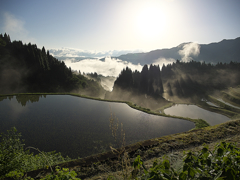 日本風景１０６６　棚田