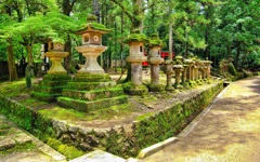 日本風景７８４　奈良　灯篭