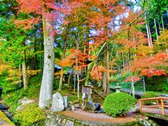 風景２１４　山寺 秋