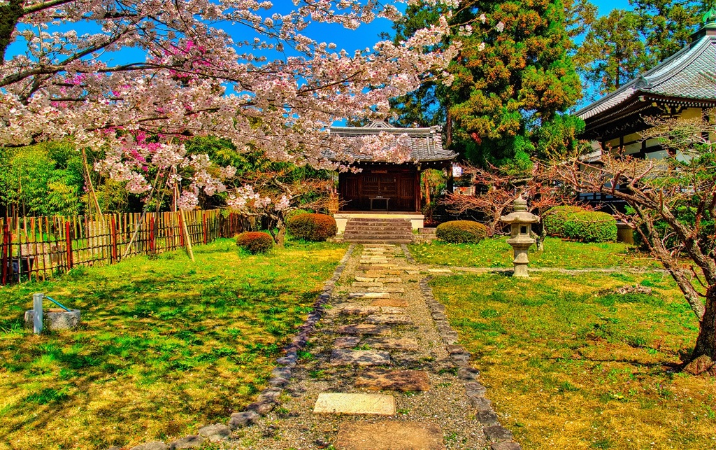 風景４３０　京都　桜
