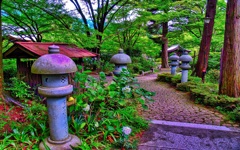 風景７０９　寺　庭　あじさい