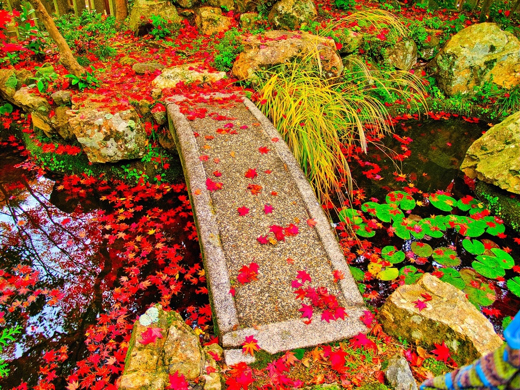 風景２６７ 寺　秋