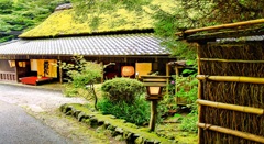 風景１５０　京都　あだしの