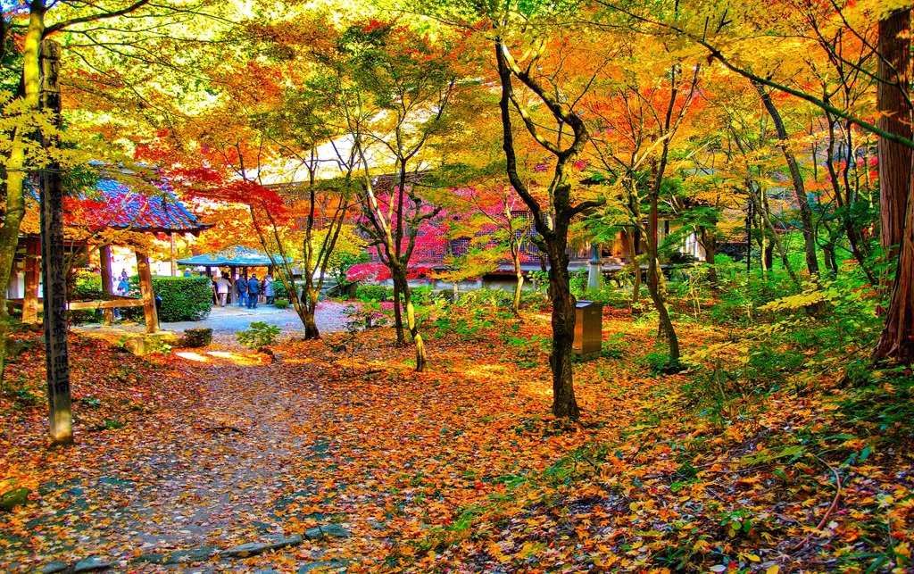 風景２９９ 寺　秋