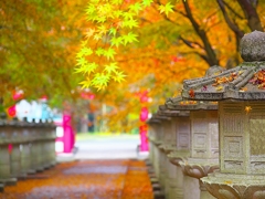 日本風景１２５２　秋