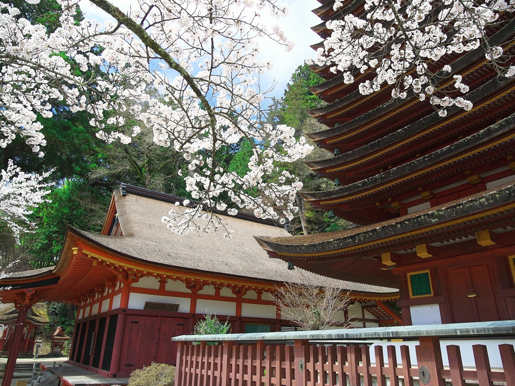 日本風景１３７７桜神社