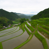 日本風景１０８０　棚田