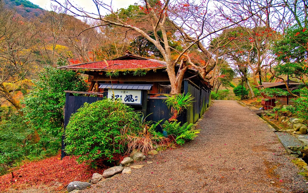 風景３４８　京都嵐山　晩秋