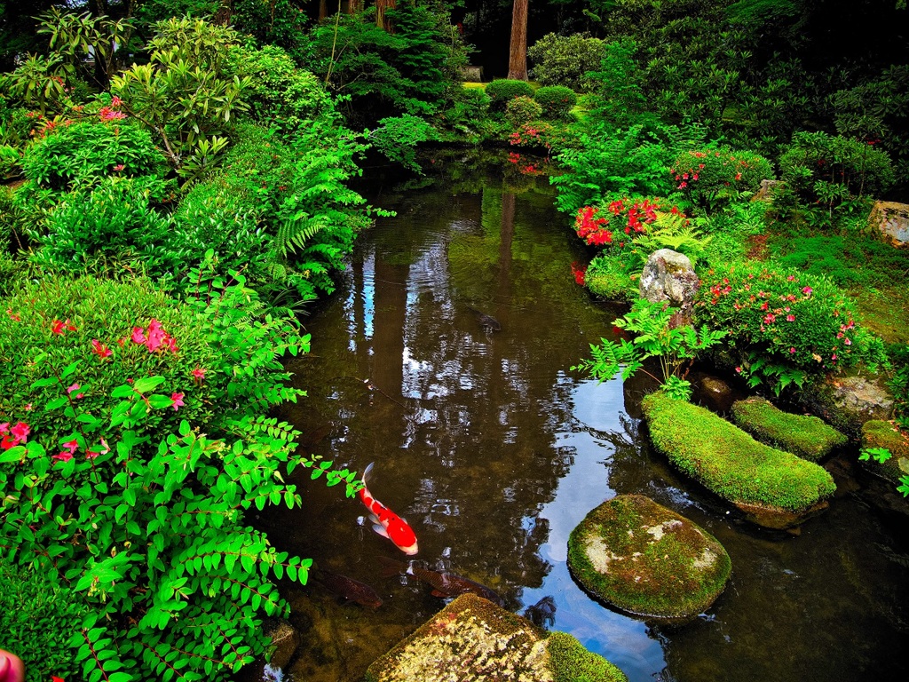 日本風景７２４　京都　庭