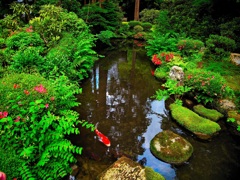 日本風景７２４　京都　庭
