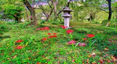 風景１７２　京都　庭