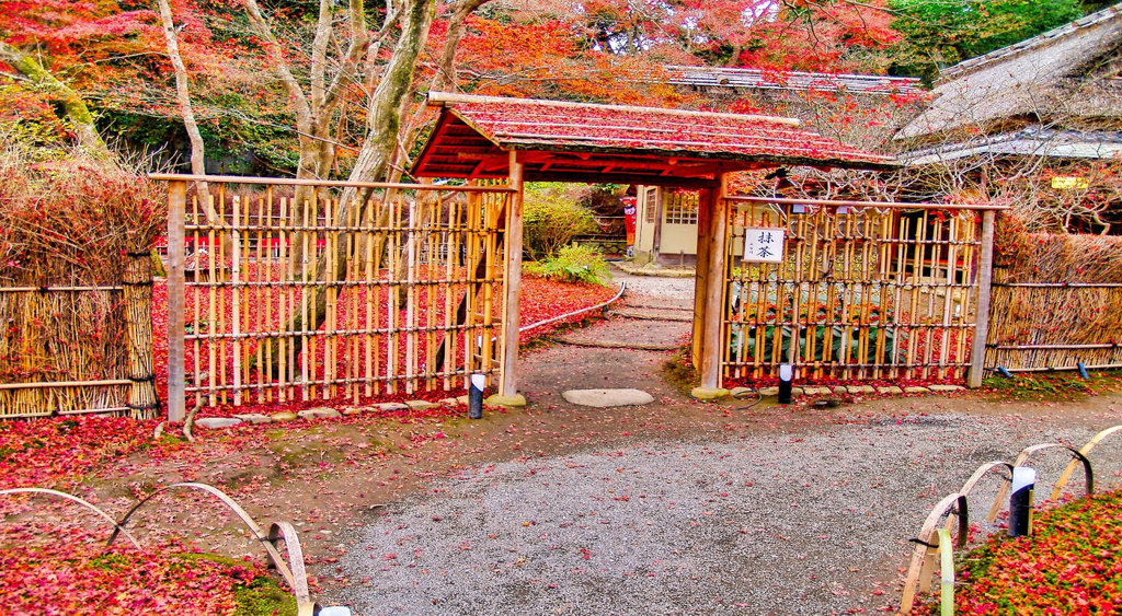 風景２２０　京都　 秋