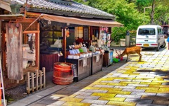 日本風景７９９　奈良　参道店