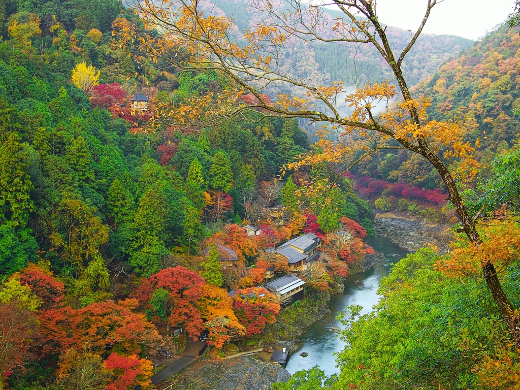 日本風景１２６２　秋