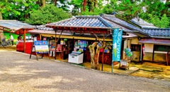 風景１６３　京都　丹後　天の橋立