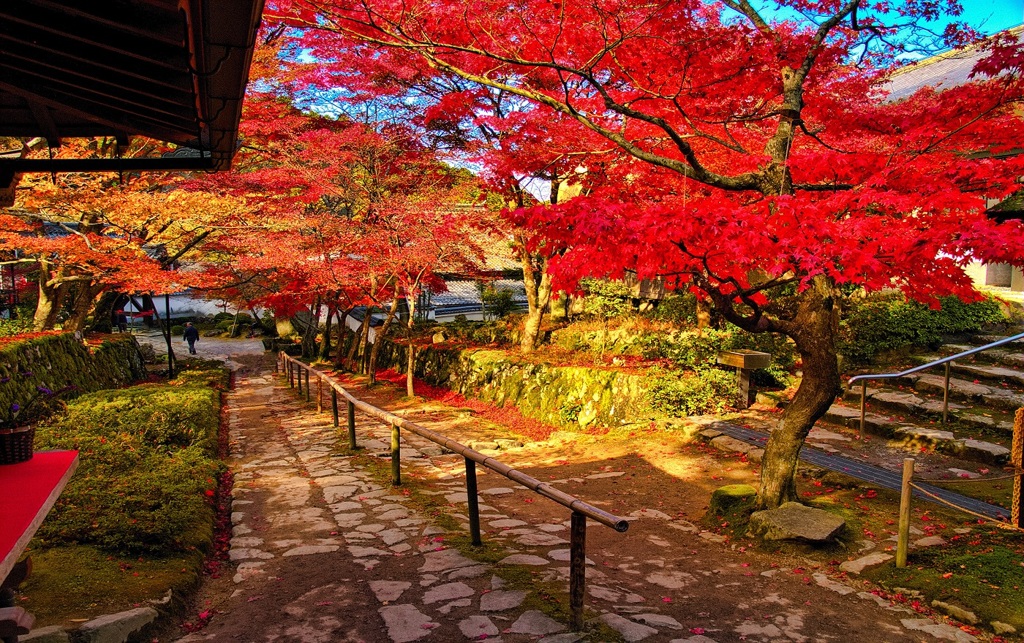 風景３０６ 寺　秋