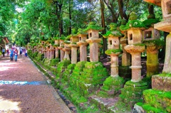 日本風景７９４　奈良　参道灯篭