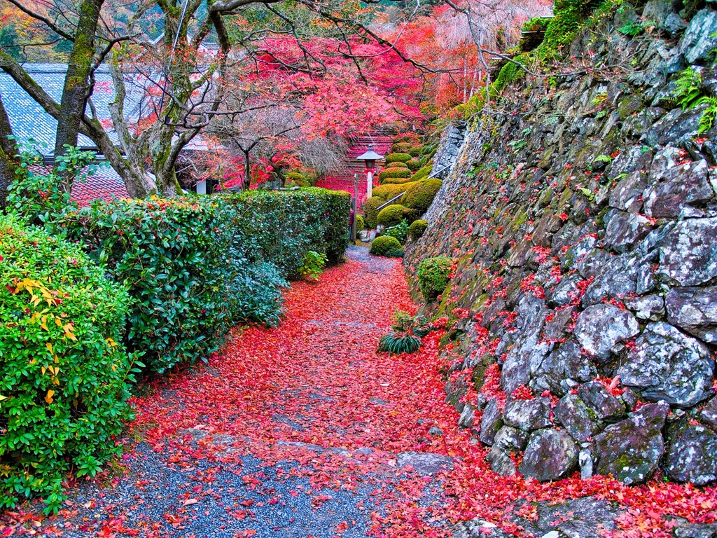 風景２４７ 寺　秋