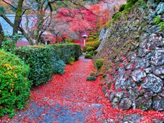 風景２４７ 寺　秋