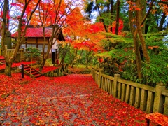 風景２６０ 寺　秋